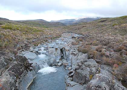 TP-Taranaki-Falls-Walk-8