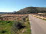 Arta to Badia d Arta