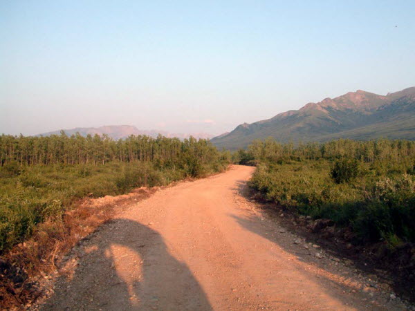 Denali National Park