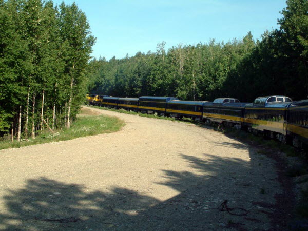 Wilderness Express