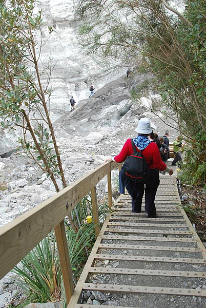 Fox Glacier