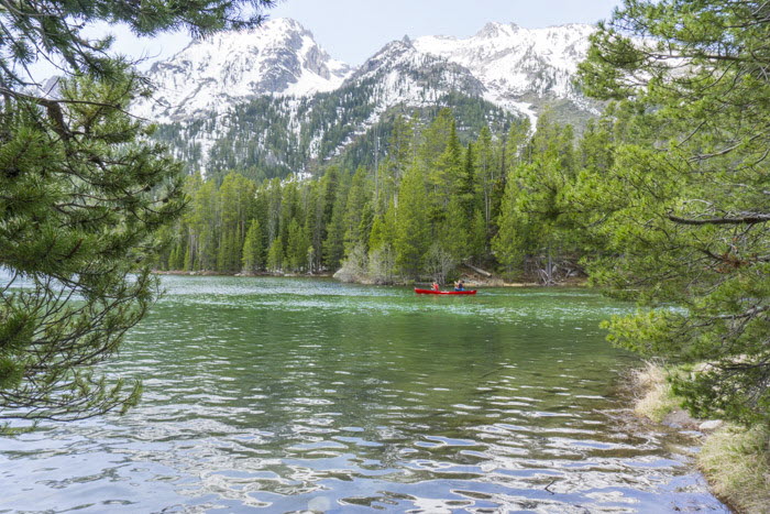 Grand Teton NP