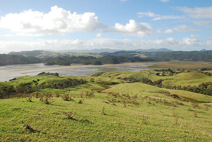 Coromandel
