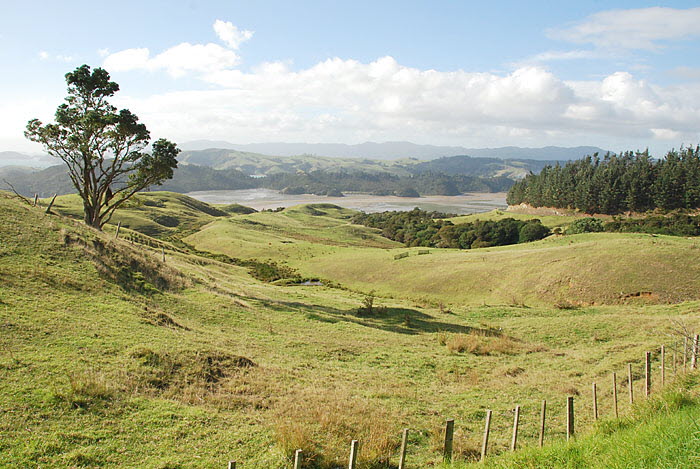 Coromandel