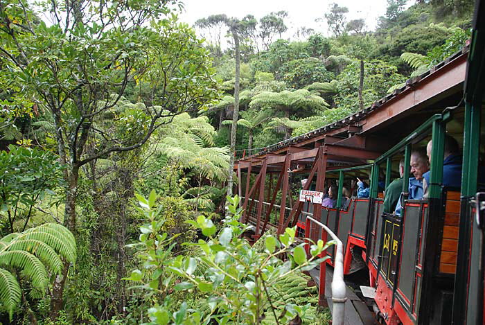 Driving Creek Railway
