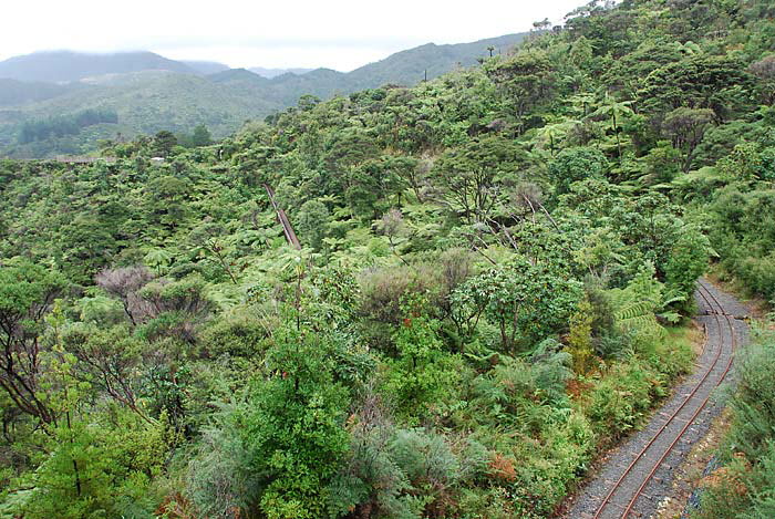 Driving Creek Railway