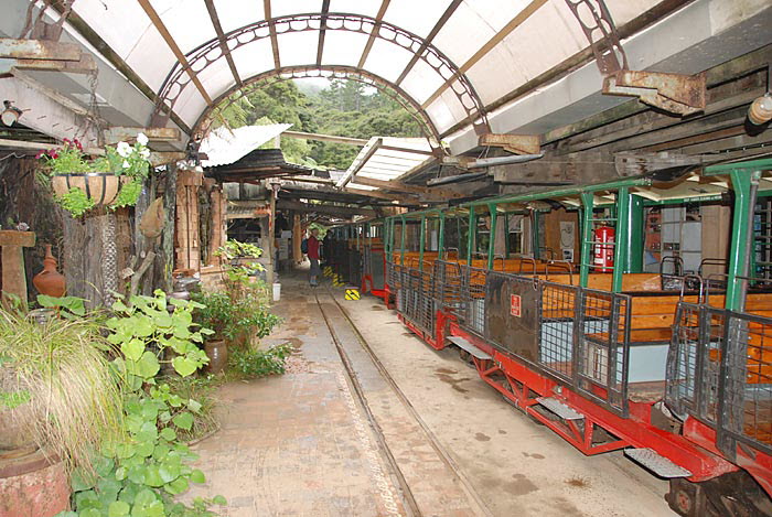 Driving Creek Railway