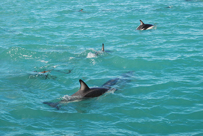 Kaikoura