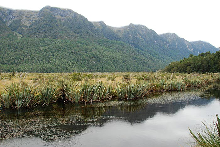 Te Anau - Milford Sound