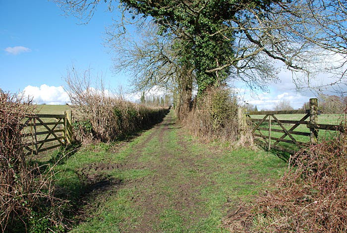 Mottisfont Walk