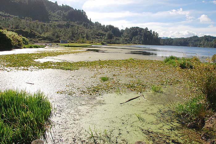 Orakei Korako