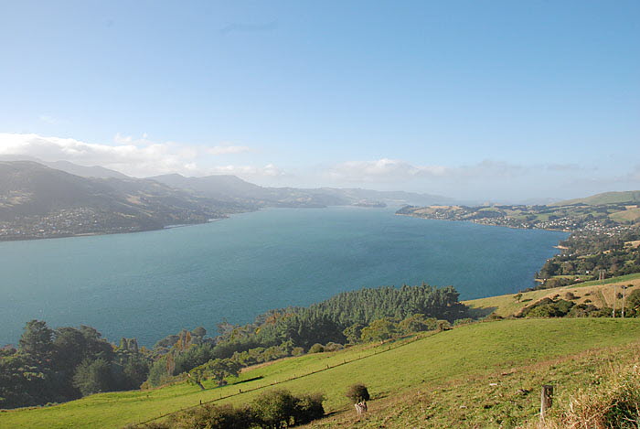 Otago - Harbour