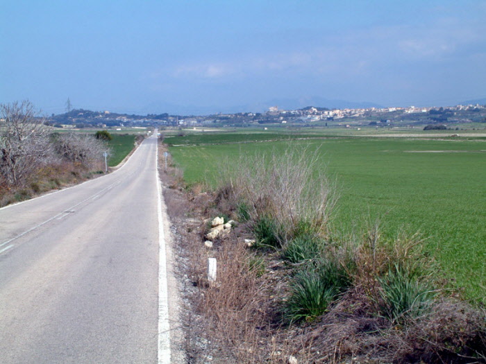 Santa Magalida