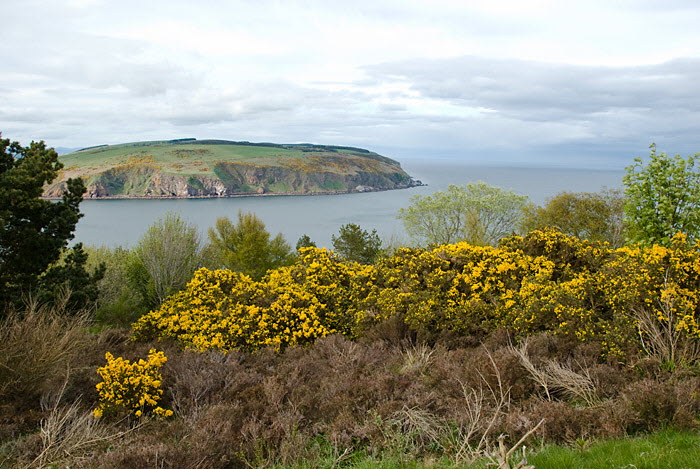 Cromarty Firth