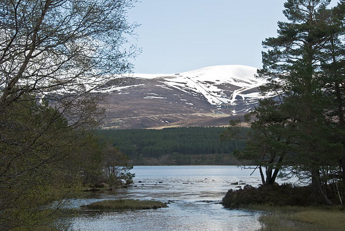 Cairngorm Mountains