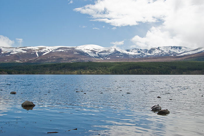 Cairngorm Mountains