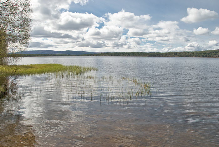 Loch Morlich