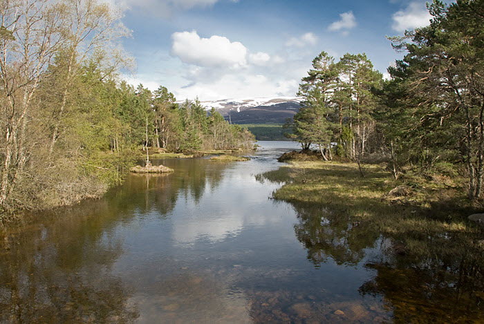 Loch Morlich