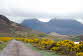 Assynt