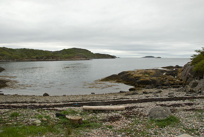 Culag Woods, Lochinver