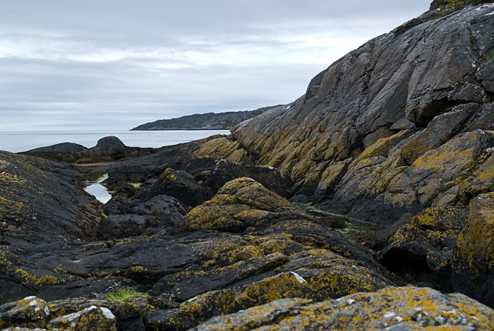 Culag Woods, Lochinver