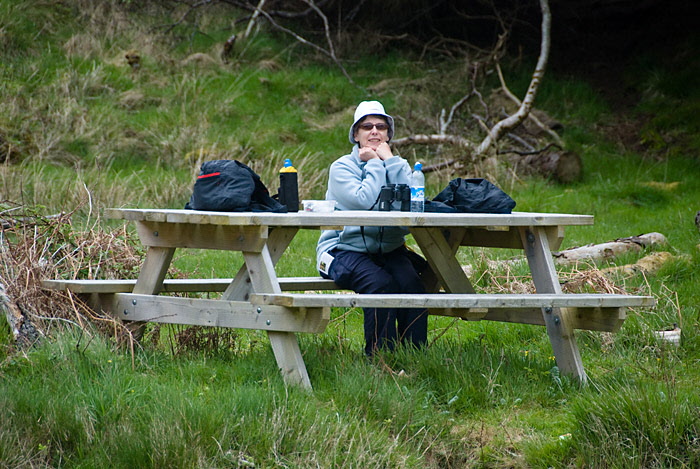 Culag Woods, Lochinver