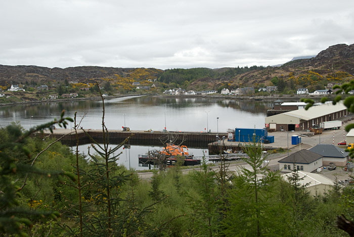 Culag Woods, Lochinver