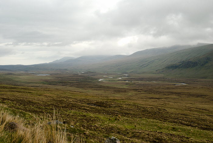 A838