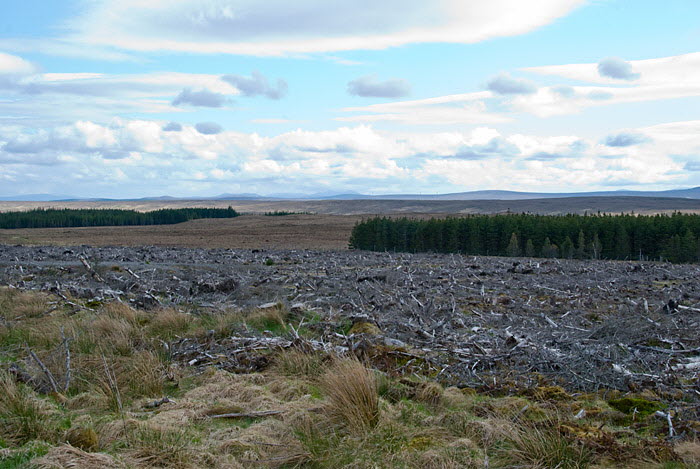 Strath Tirry