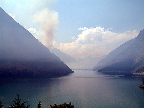 Forest Fires