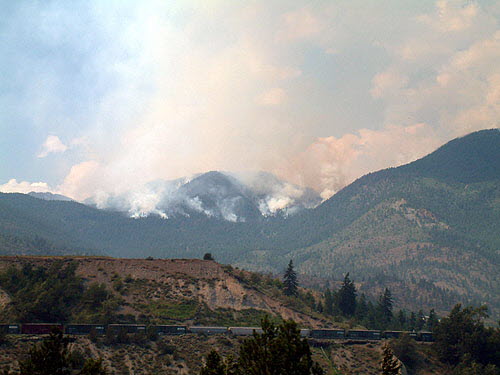 Forest Fires