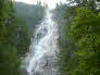 Shannon Falls