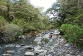 Taranaki Falls Walk