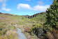 Taranaki Falls Walk