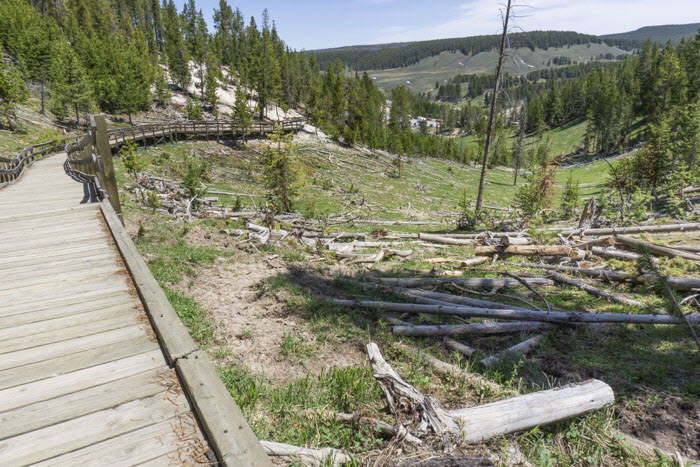 Yellowstone NP