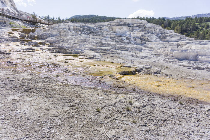 Yellowstone NP