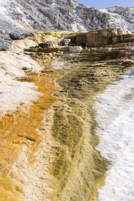 Yellowstone NP