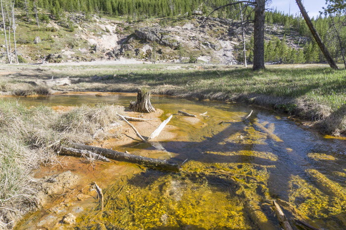 Yellowstone NP