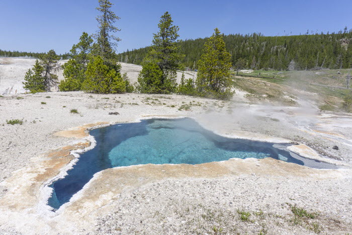Yellowstone NP