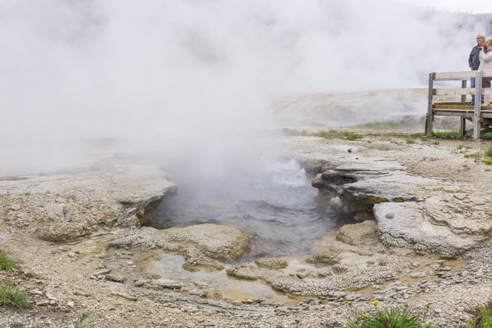 Yellowstone NP