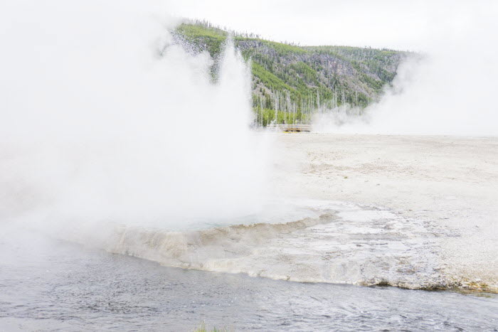 Yellowstone NP