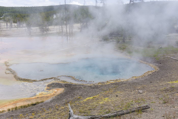 Yellowstone NP