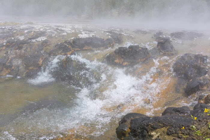Yellowstone NP
