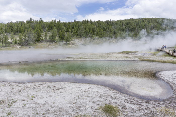 Yellowstone NP