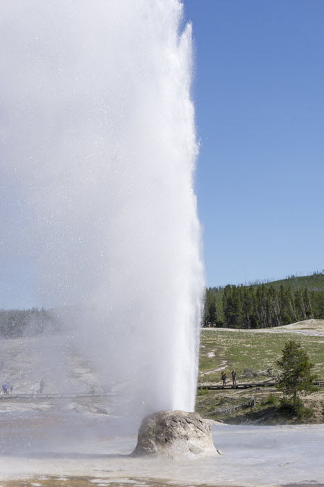 Yellowstone NP