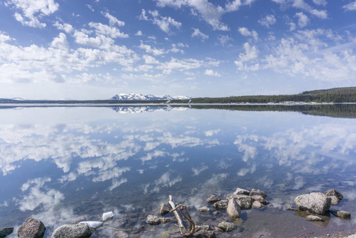 Yellowstone NP (80)