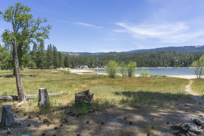 Yosemite NP