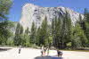 Yosemite NP
