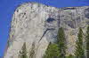 Yosemite NP