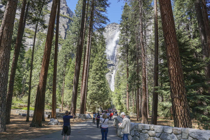 Yosemite NP